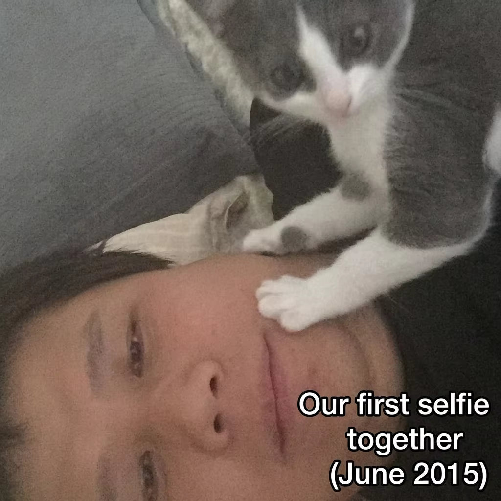 Eleven Years, Two Continents, One Soulmate: The Story of Me and Juliet