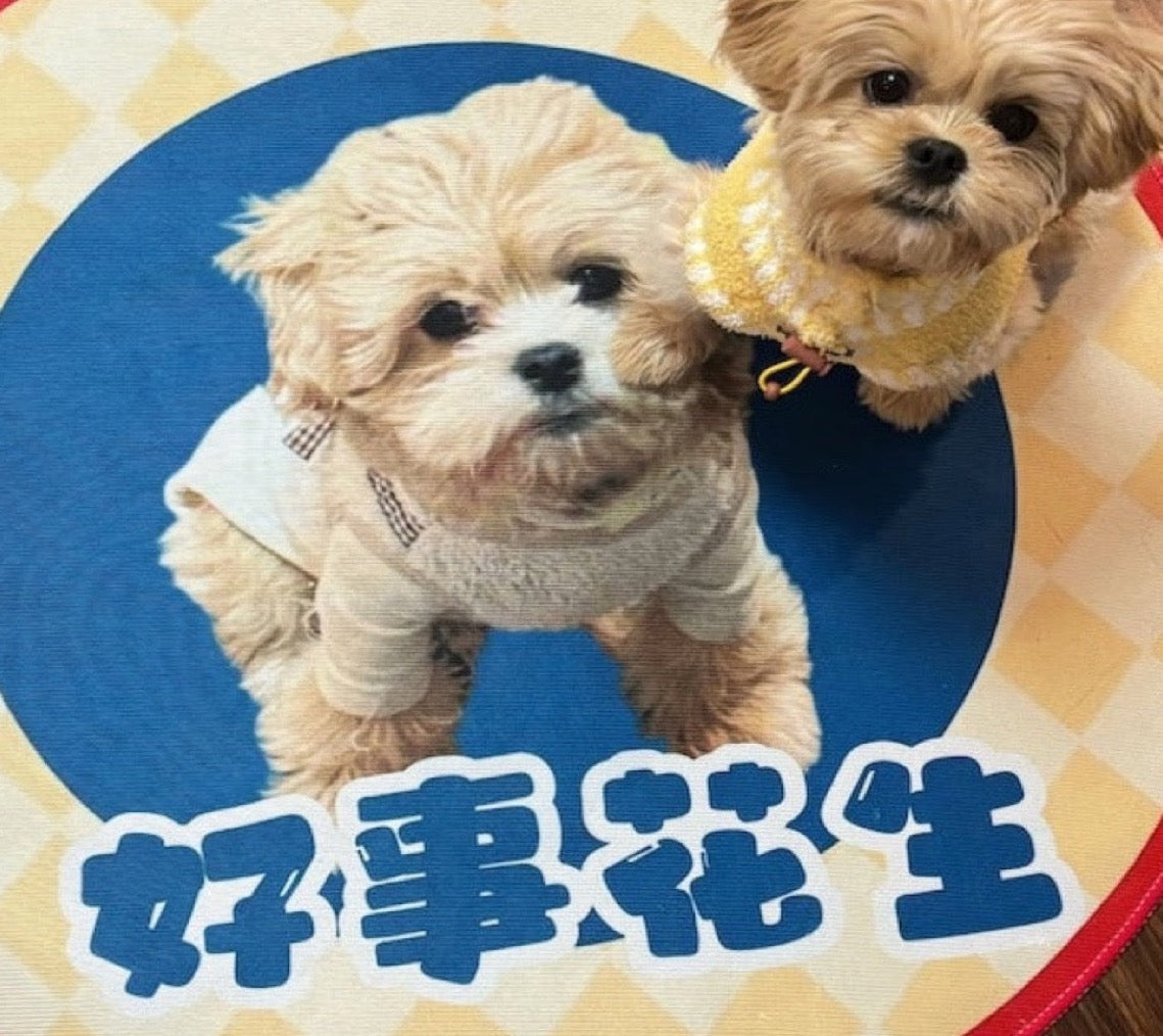 Custom Pet Portrait Plush Mat