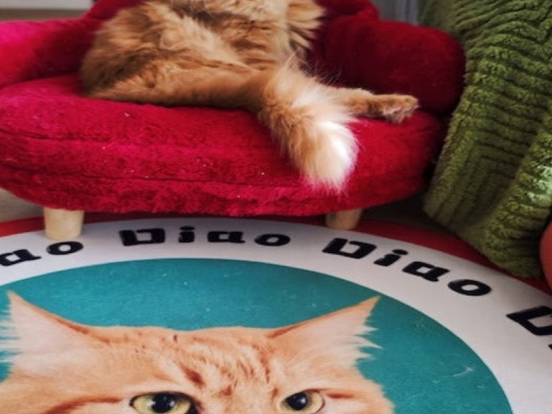 Custom Pet Portrait Plush Mat