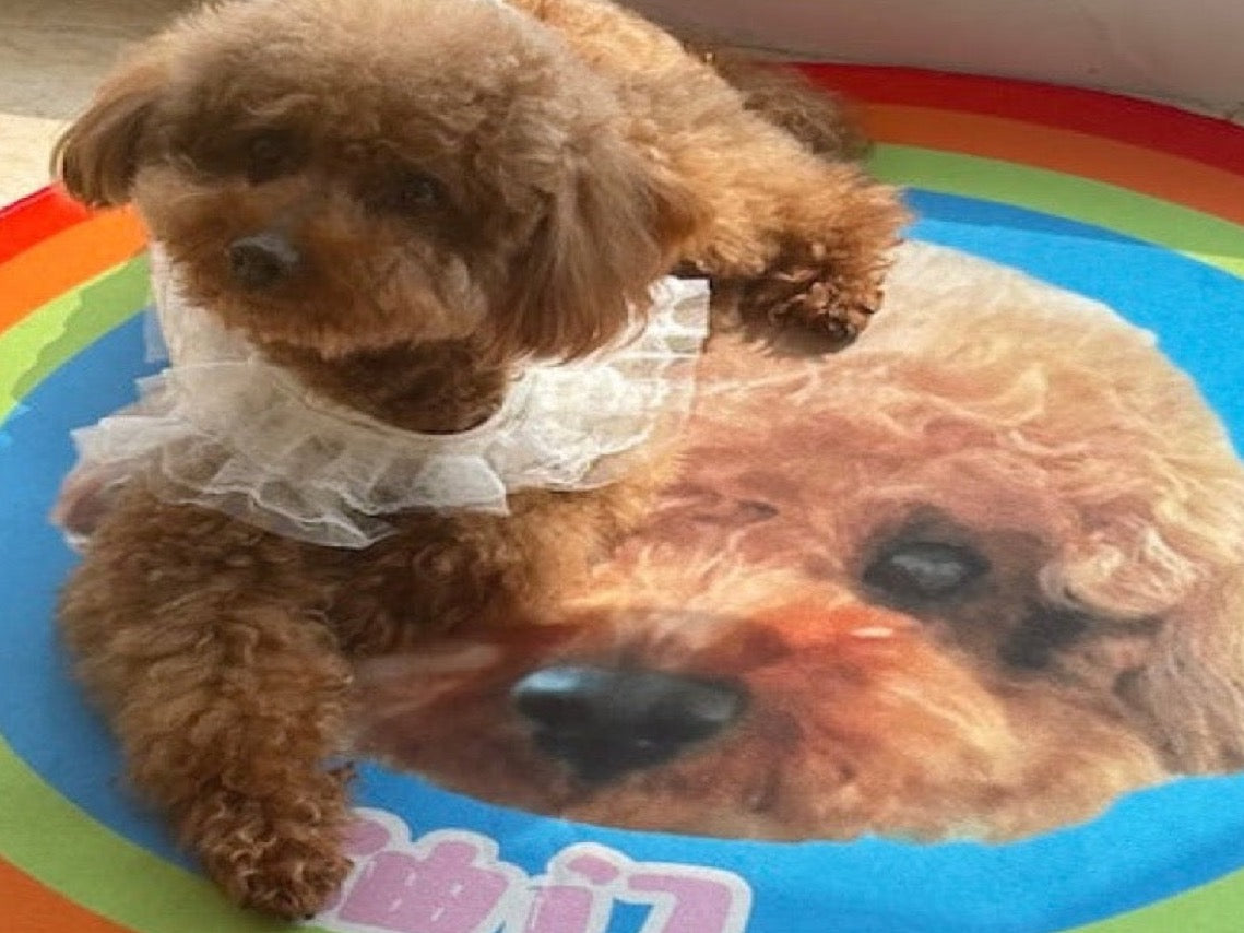 Custom Pet Portrait Plush Mat