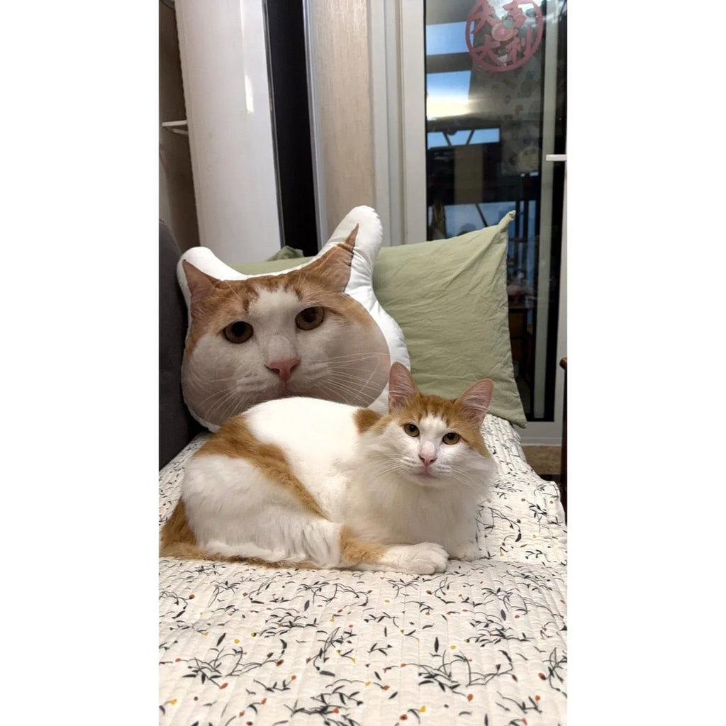 Custom Shaped Pet Photo Pillow