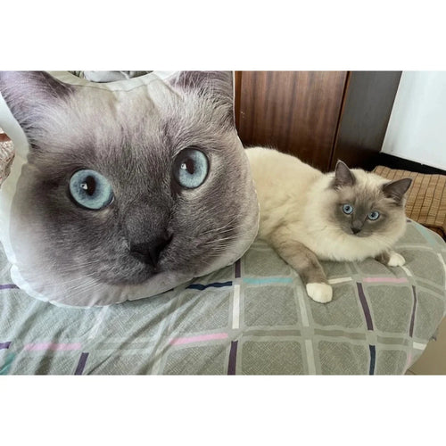 Custom Shaped Pet Photo Pillow
