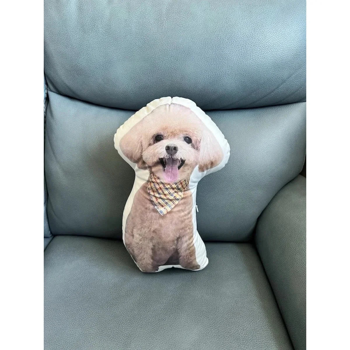 Custom Shaped Pet Photo Pillow