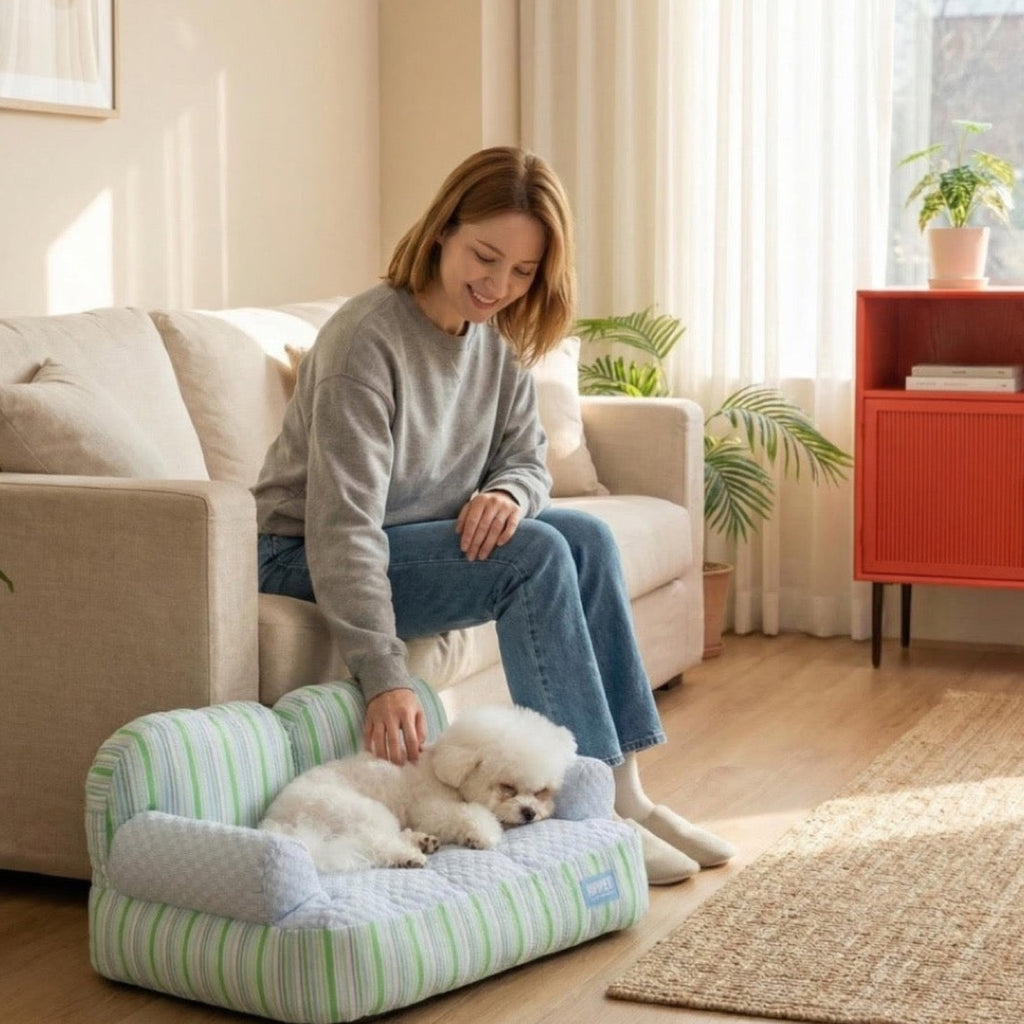 Luxury Orthopedic Dog Sofa Bed - Washable & All-Seasons