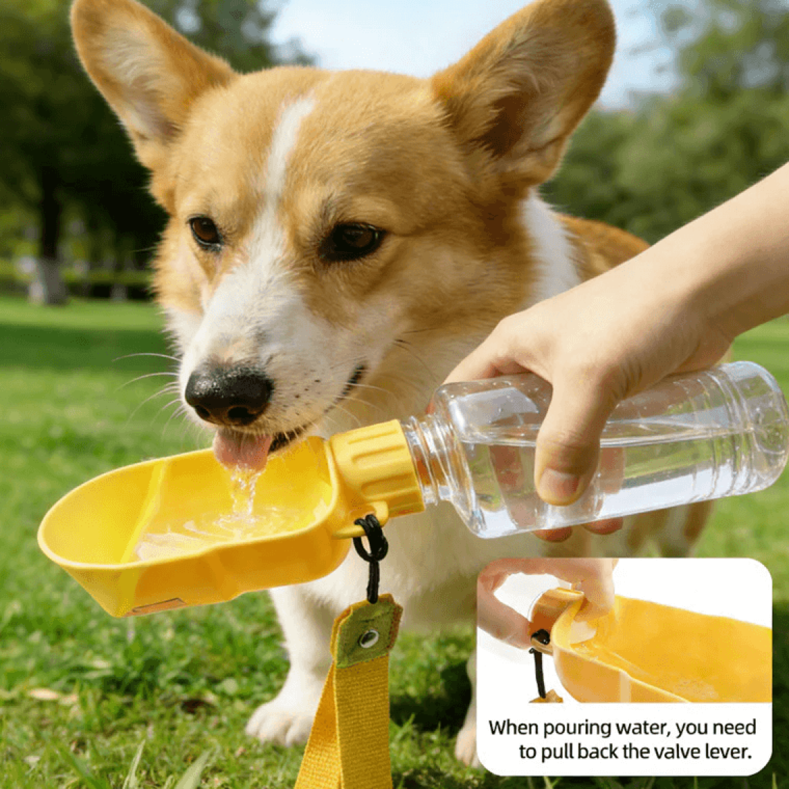 Portable 2-in-1 Pet Travel Water Bottle