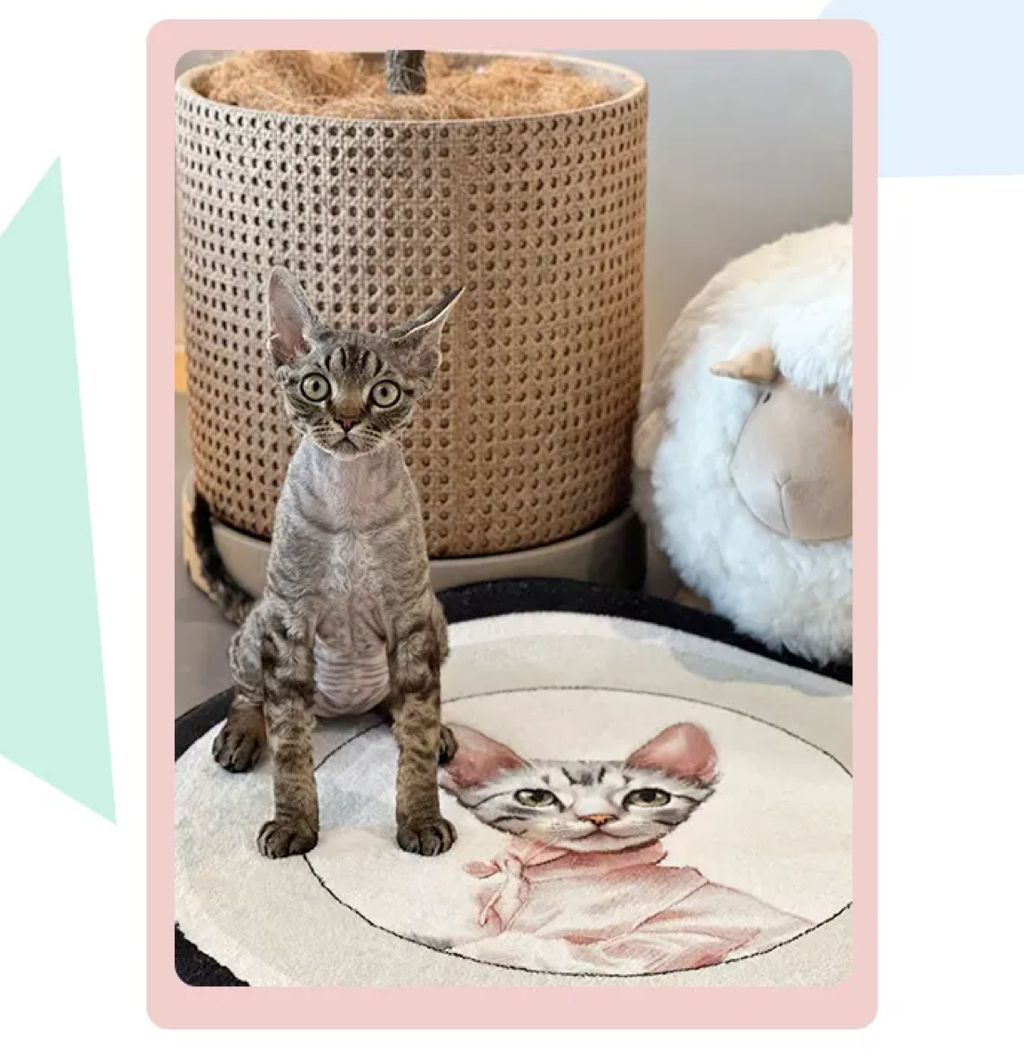 Custom Pet Portrait Plush Mat