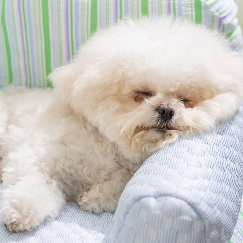 Luxury Orthopedic Dog Sofa Bed - Washable & All-Seasons