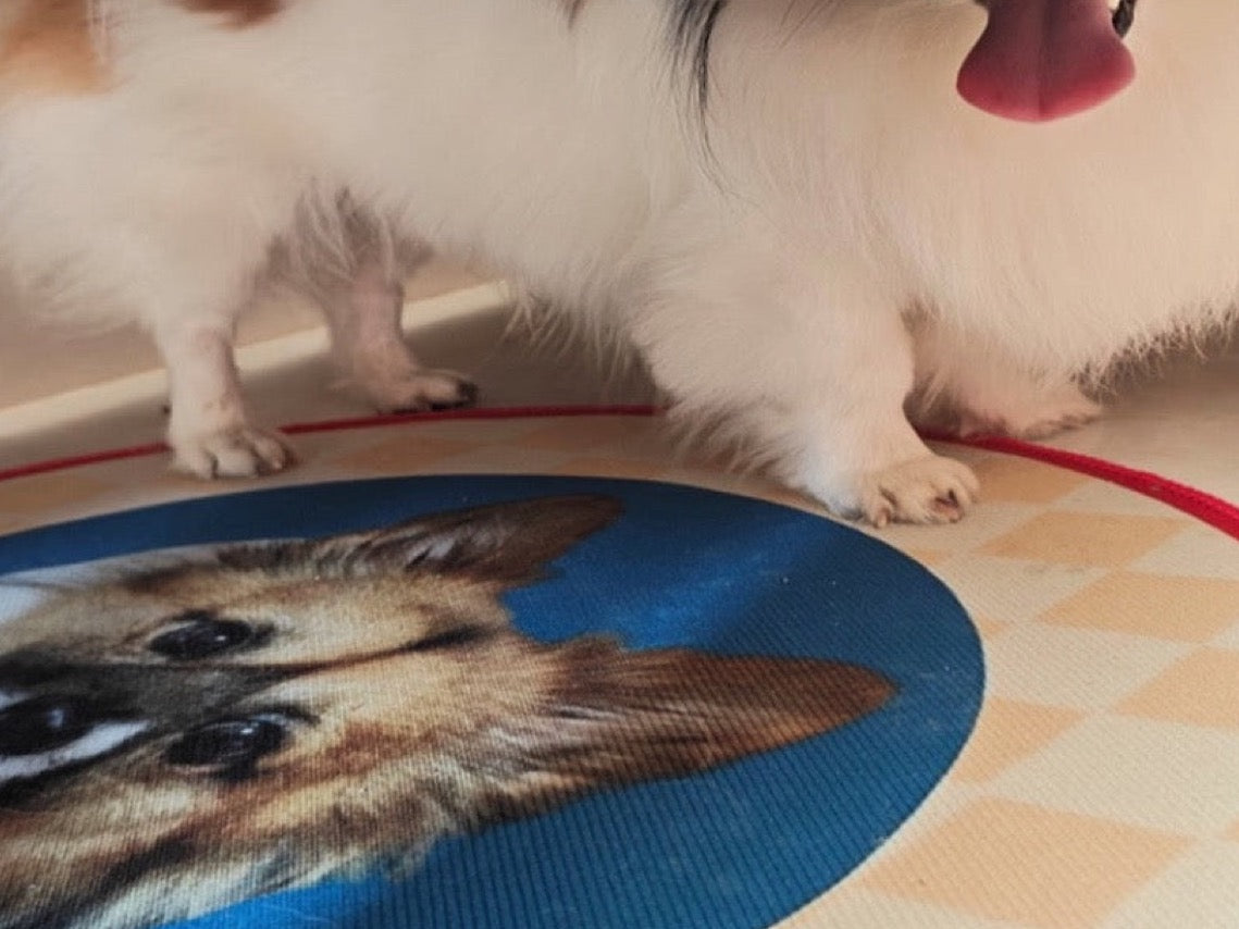 Custom Pet Portrait Plush Mat