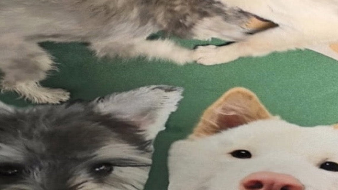 Custom Pet Portrait Plush Mat
