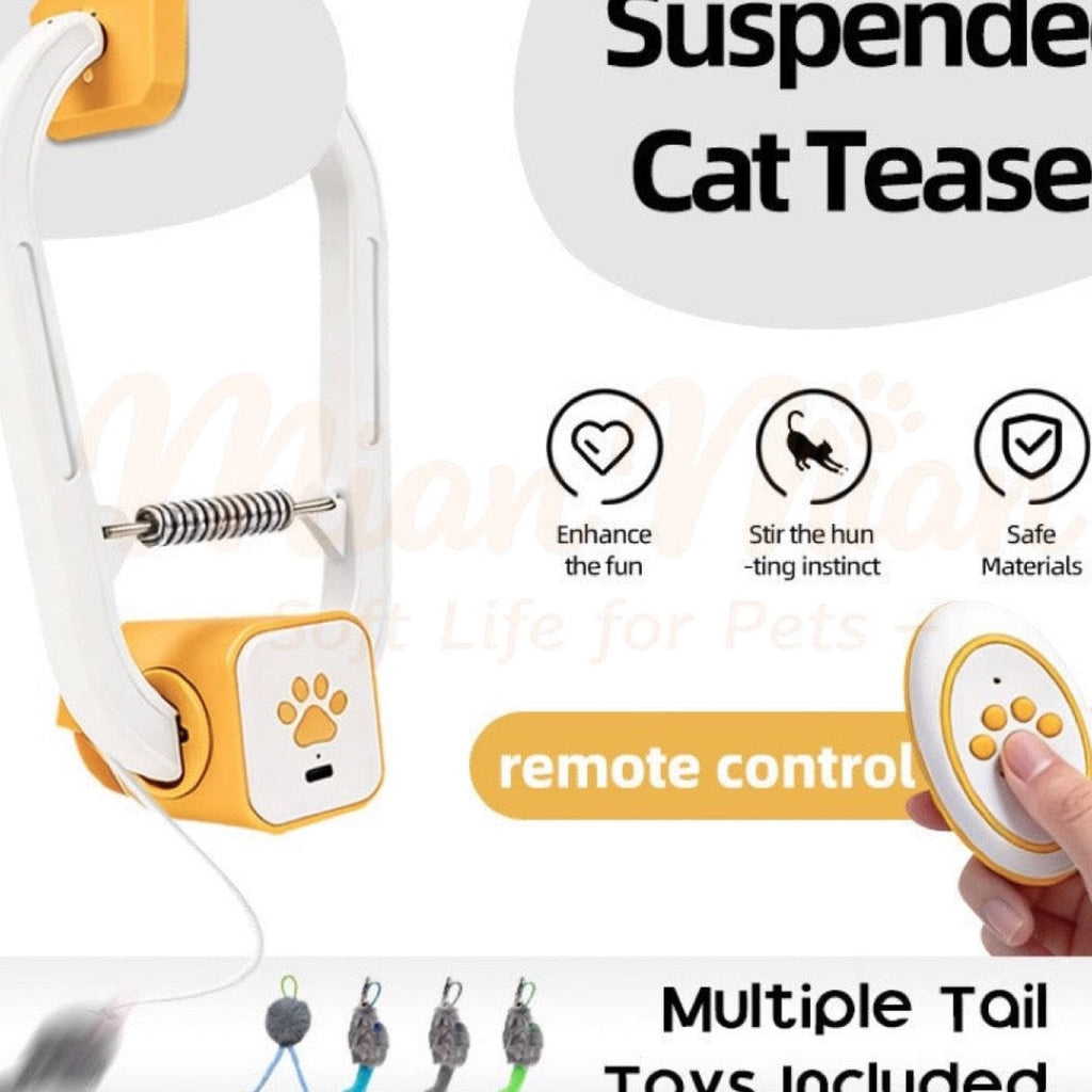 Interactive Dual-Mode Remote Control Cat Teaser