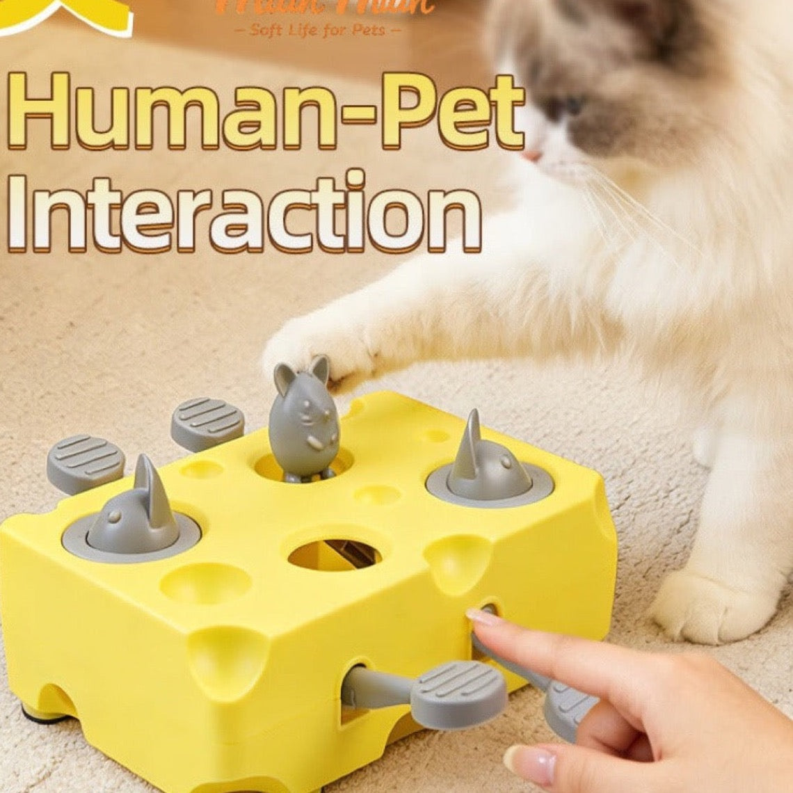 Interactive Cheese Whack-A-Mole Cat Toy