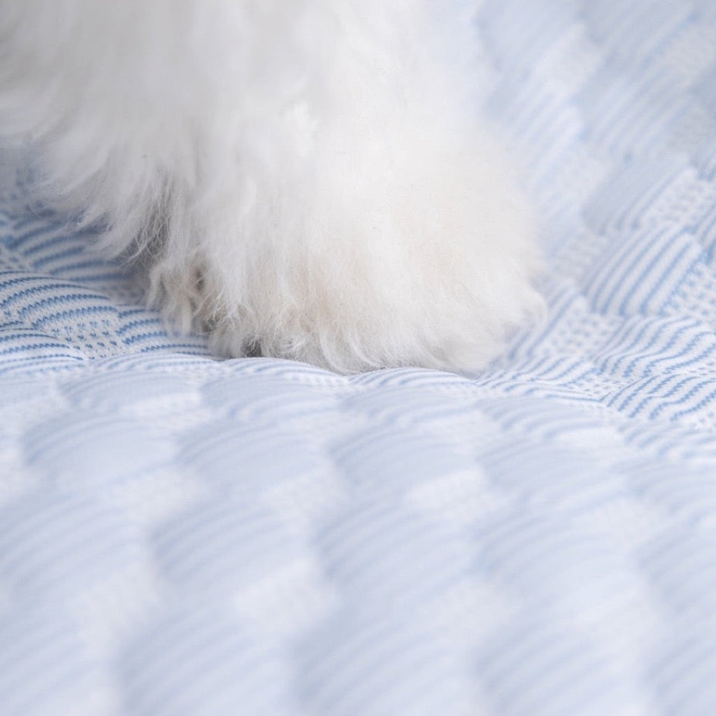 Luxury Orthopedic Dog Sofa Bed - Washable & All-Seasons