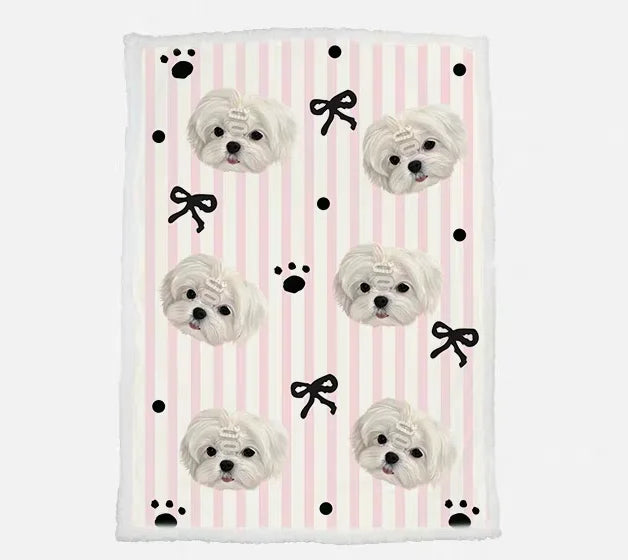 Pet Accessory 2