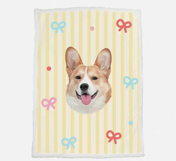 Pet Accessory 4