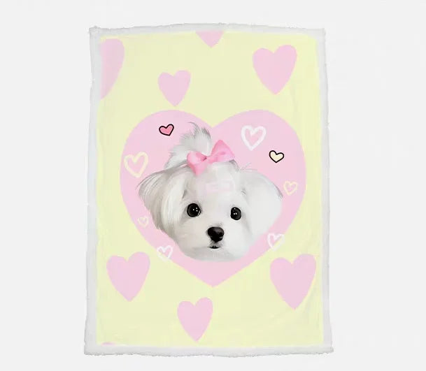 Pet Accessory 6