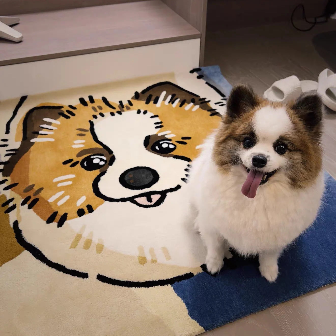 Pet Accessory 8