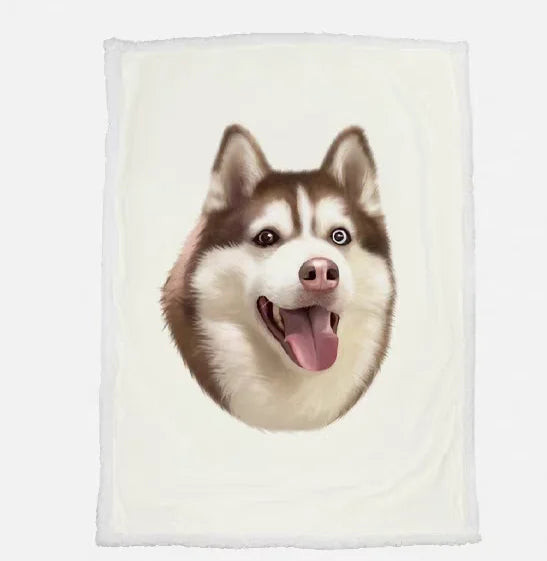 Pet Accessory 1