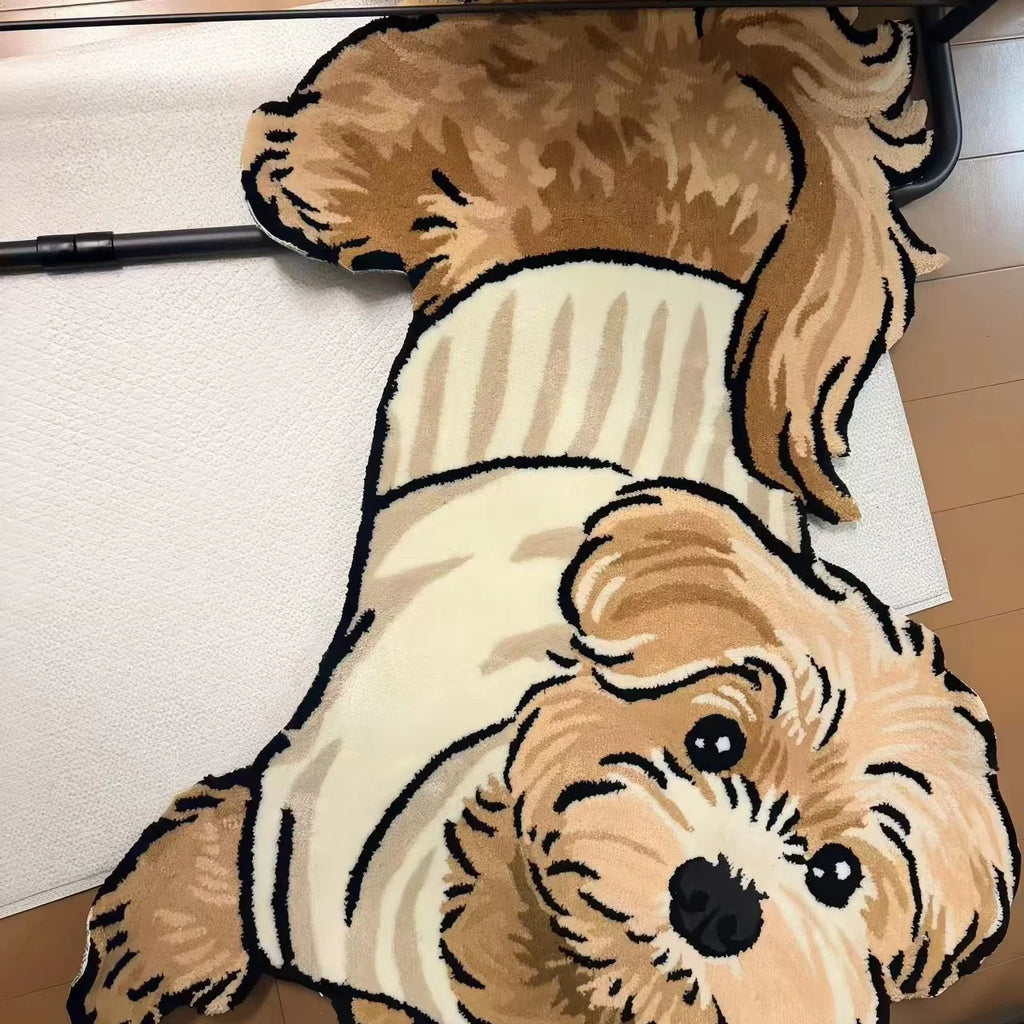 Pet Accessory 10