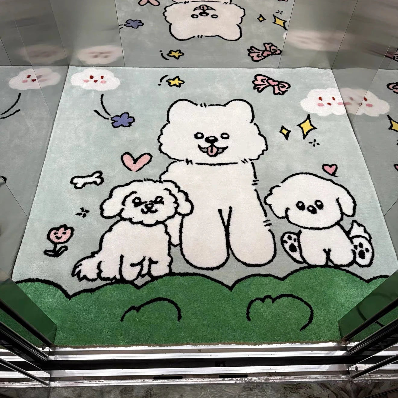 Pet Accessory 7