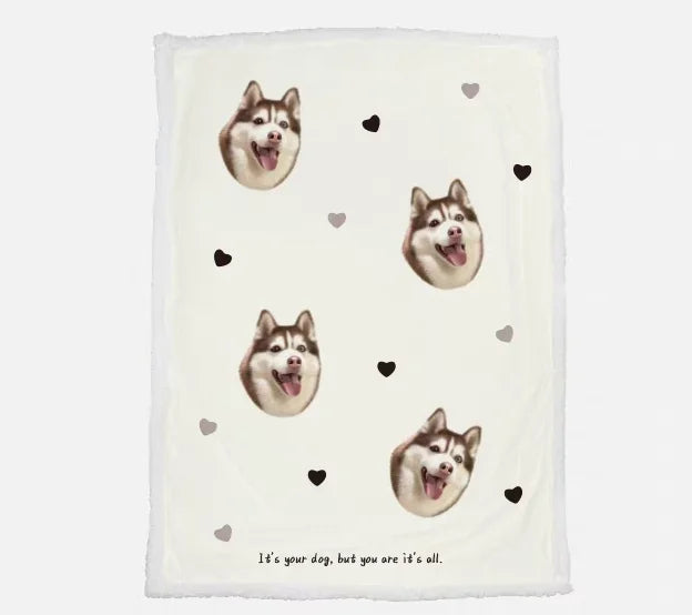 Pet Accessory 3