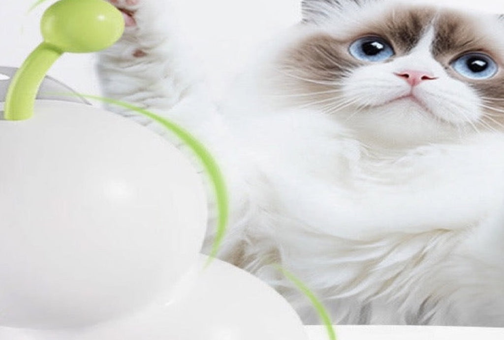 Smart Motion-Activated Cat Teaser Toy