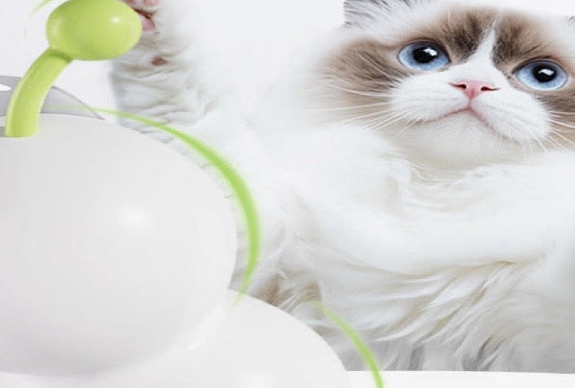 Smart Motion-Activated Cat Teaser Toy