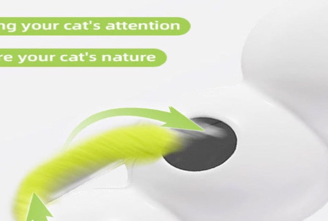 Smart Motion-Activated Cat Teaser Toy