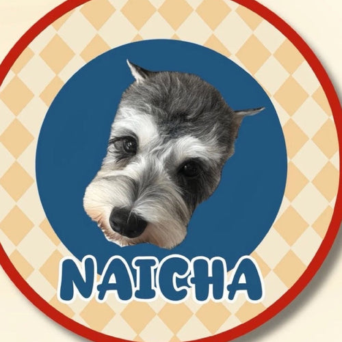 Custom Pet Portrait Plush Mat