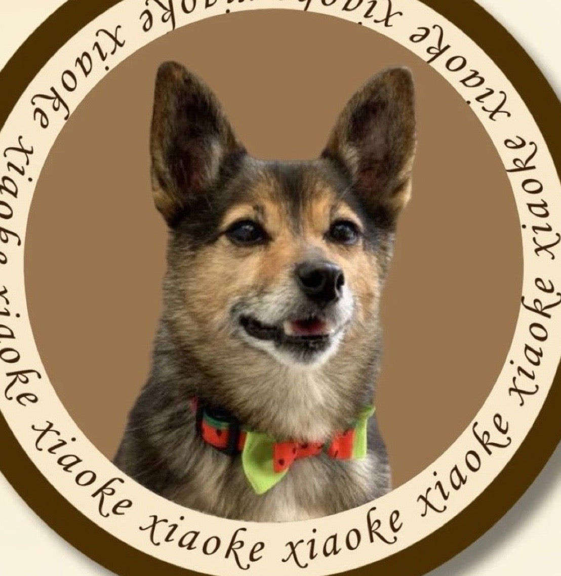 Custom Pet Portrait Plush Mat