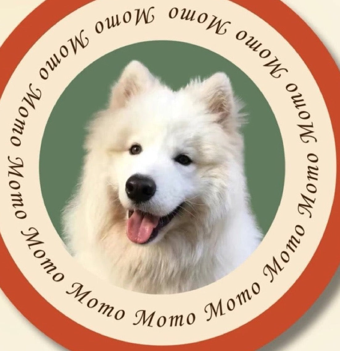 Custom Pet Portrait Plush Mat