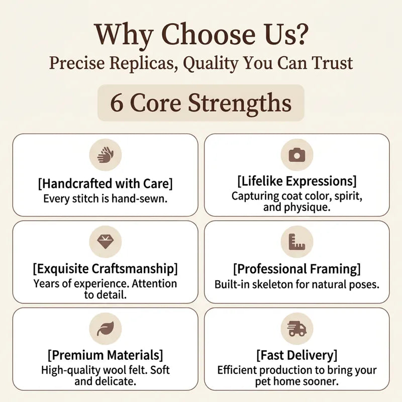 Why Choose Us