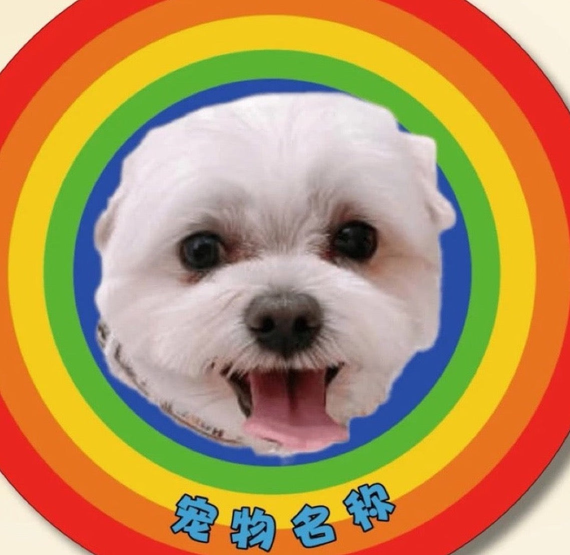Custom Pet Portrait Plush Mat