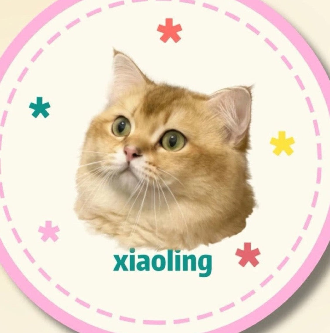 Custom Pet Portrait Plush Mat
