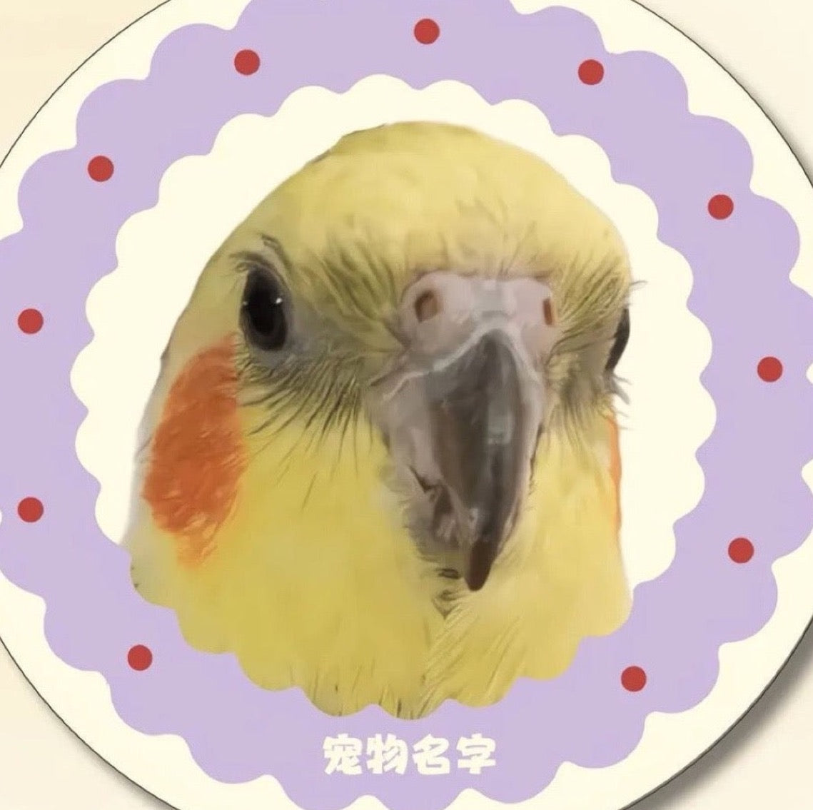 Custom Pet Portrait Plush Mat